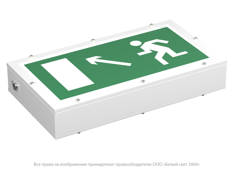 Указатель световой BS-FLAGMAN-10-S1-ELON централиз. электропитания Белый свет a17020