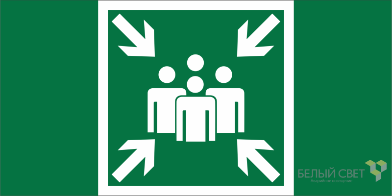 Знак безопасности BL-3015B.E21 Пункт (место) сбора Белый свет a19652
